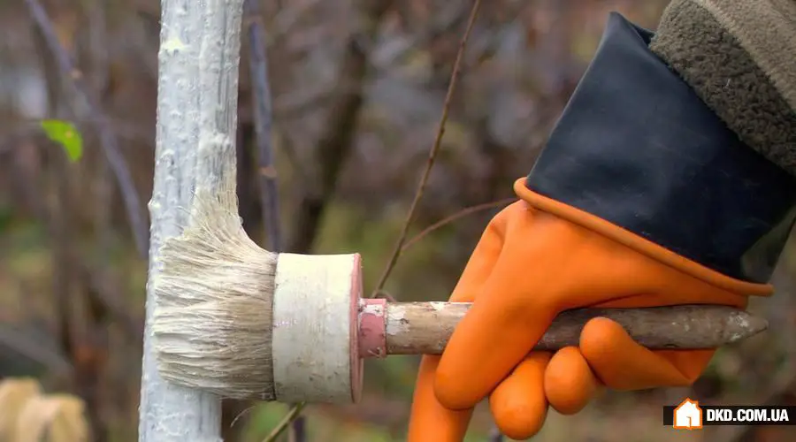 为新季节准备您的花园地块:7个简单步骤