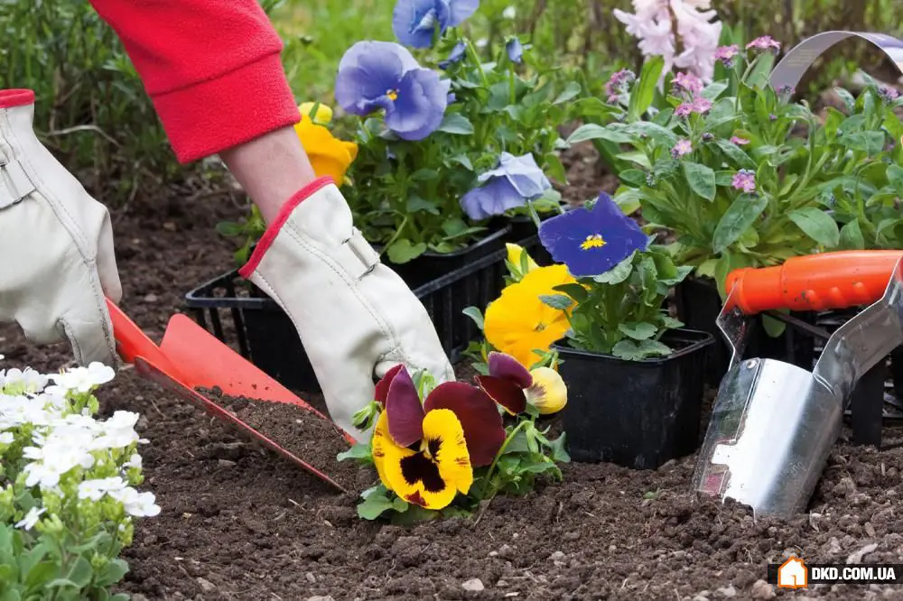 为新季节准备您的花园地块:7个简单步骤