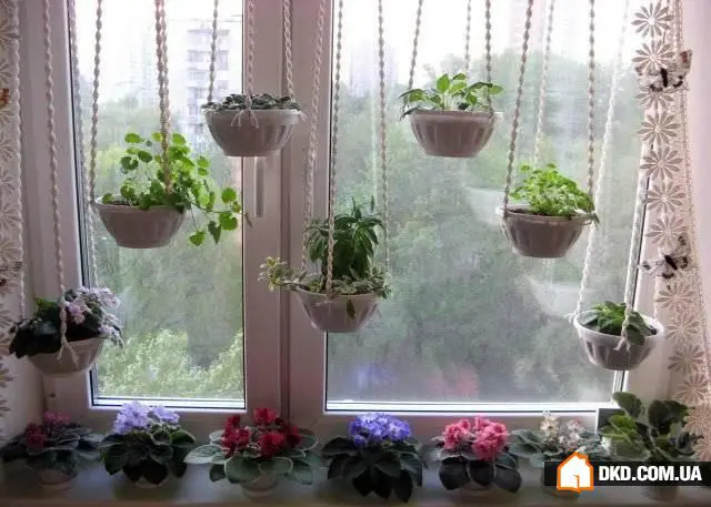 无窗帘的10个原创窗户装饰创意