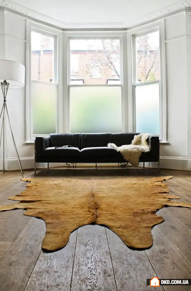 无窗帘的10个原创窗户装饰创意