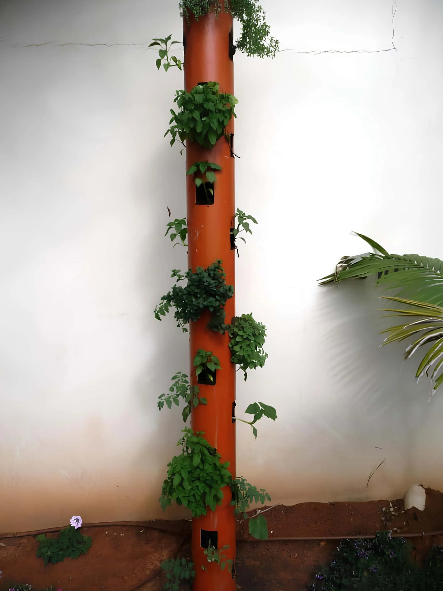 Vertical pipe planter with small pockets of herbs and greens