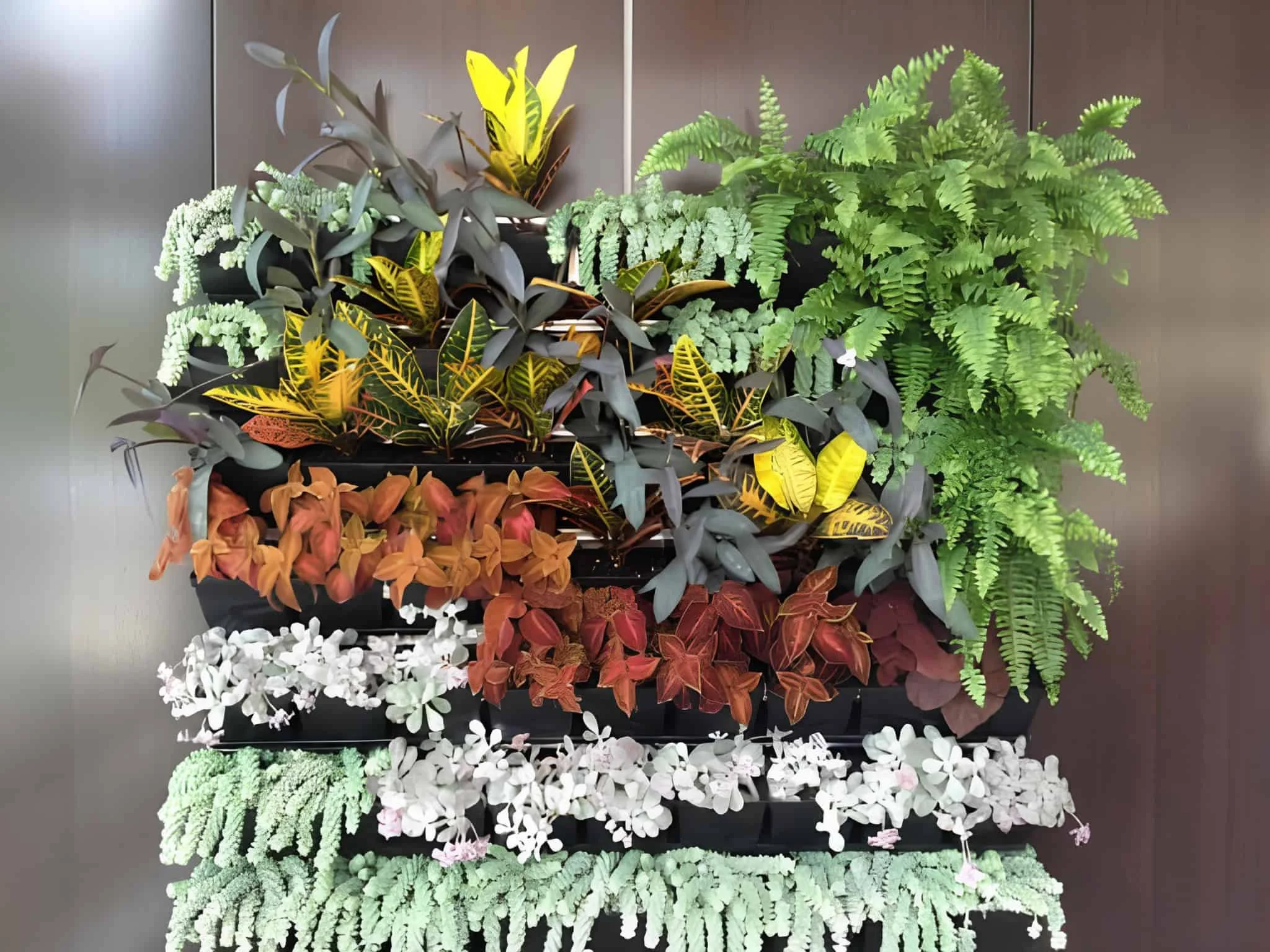 Indoor green wall with colorful foliage and ferns