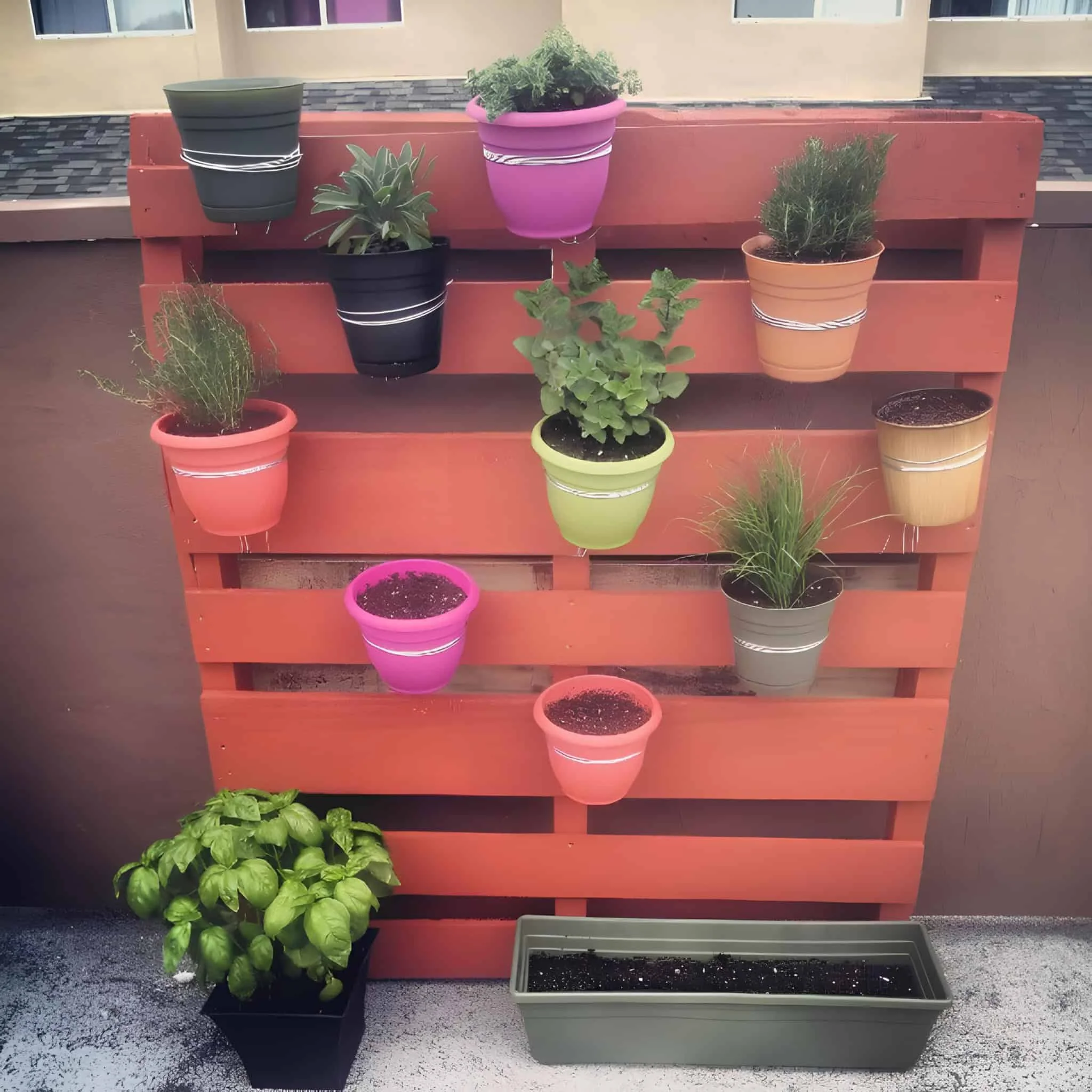 Painted pallet with colorful pots for herbs and greens