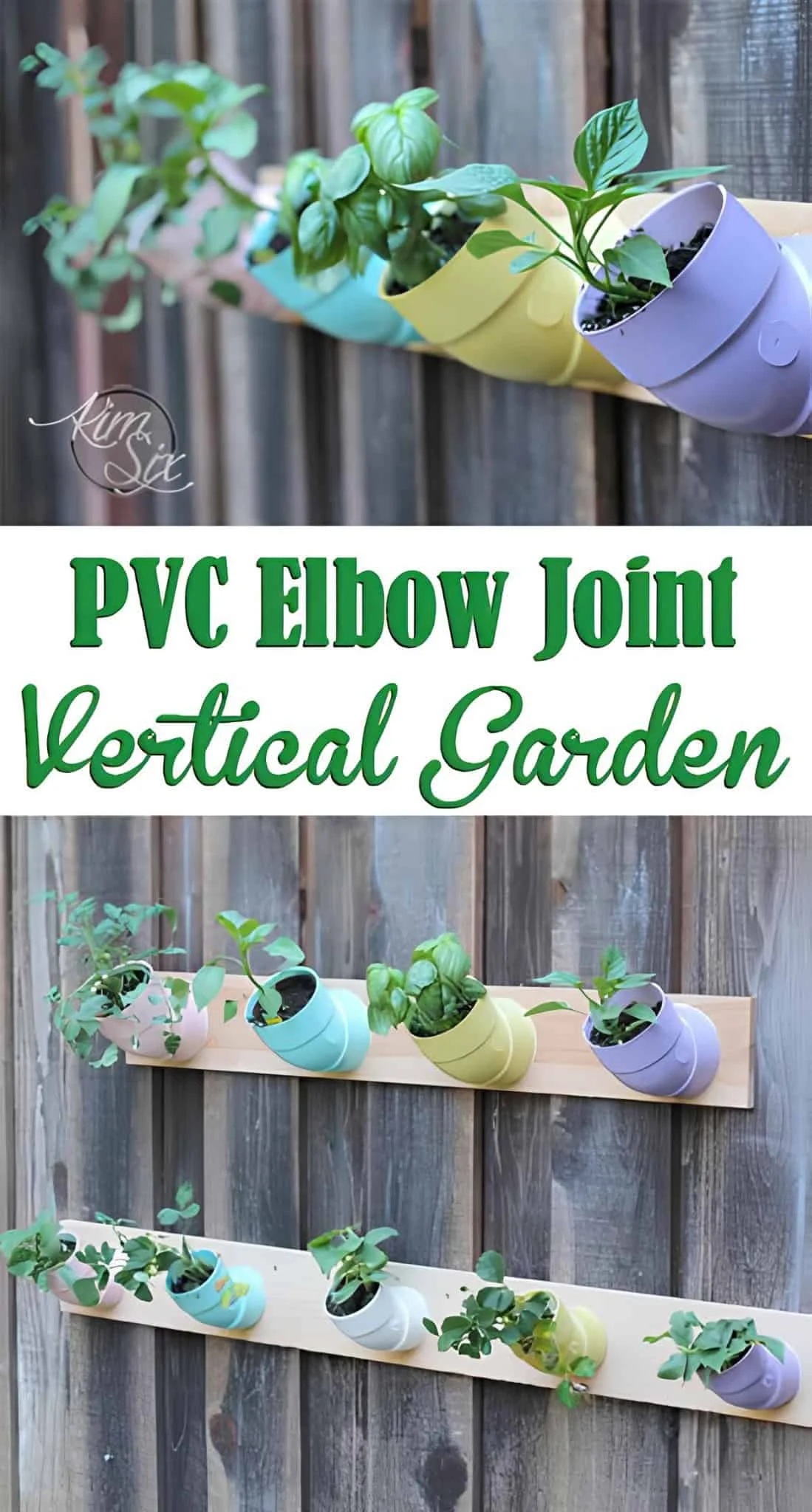 Creative use of PVC elbow joints mounted on wood to grow herbs