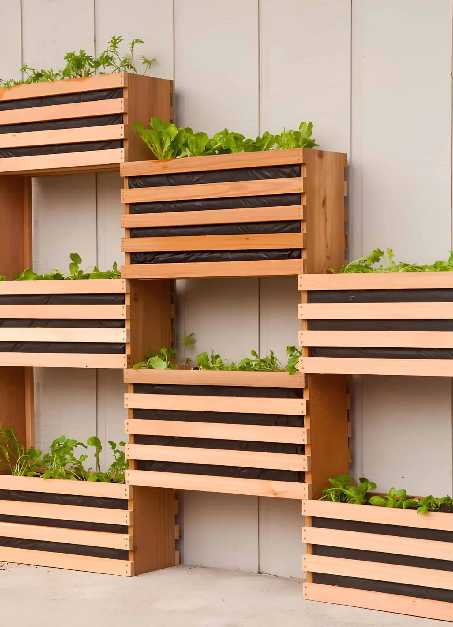 Stacked wooden planter boxes filled with fresh greens against a light wall