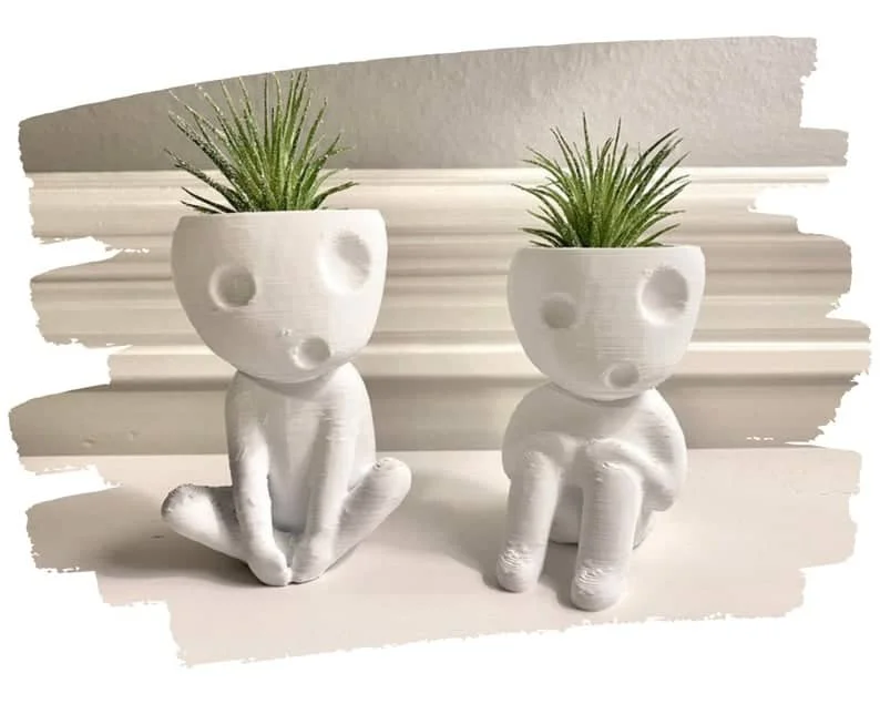 3. 2 Töpfe für Luftpflanzen Kodama Tree Spirits „Kooki & Keera“