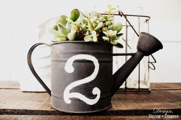 5. Haz una maceta para suculentas con un regador de segunda mano