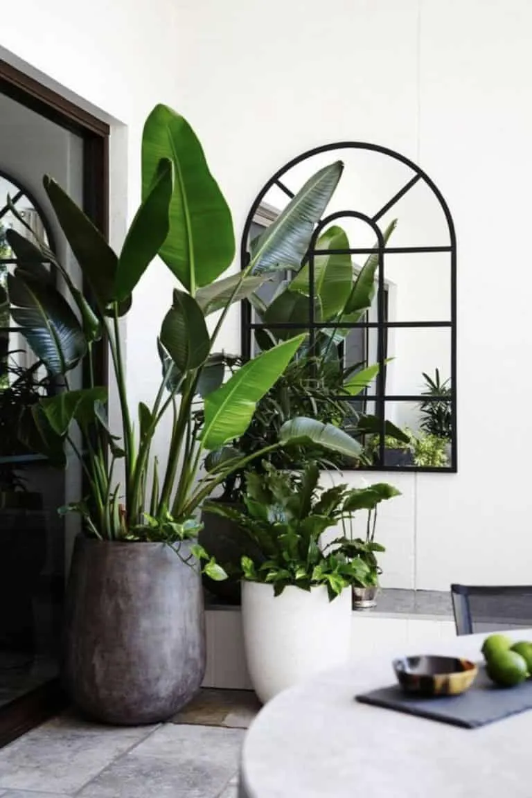 从装饰到日常生活