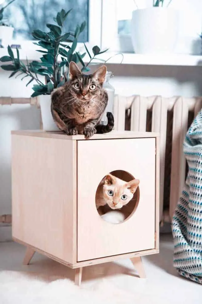 The Cutest Cat Houses That Will Inspire You