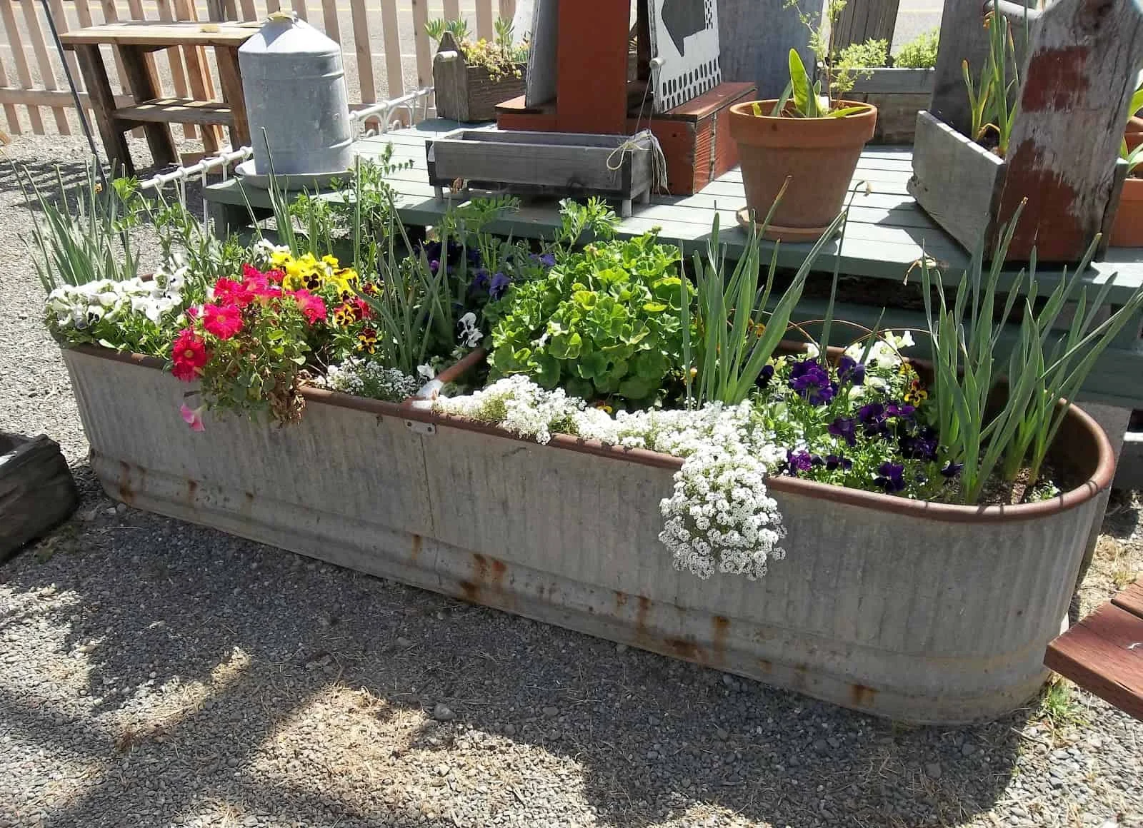 6. Alter metallener Planter mit Loch