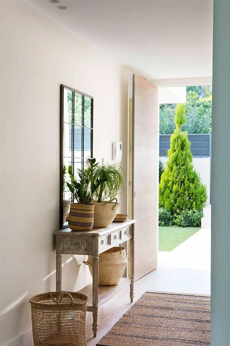 5. REFRESCA LA ENTRADA… CON PLANTAS!