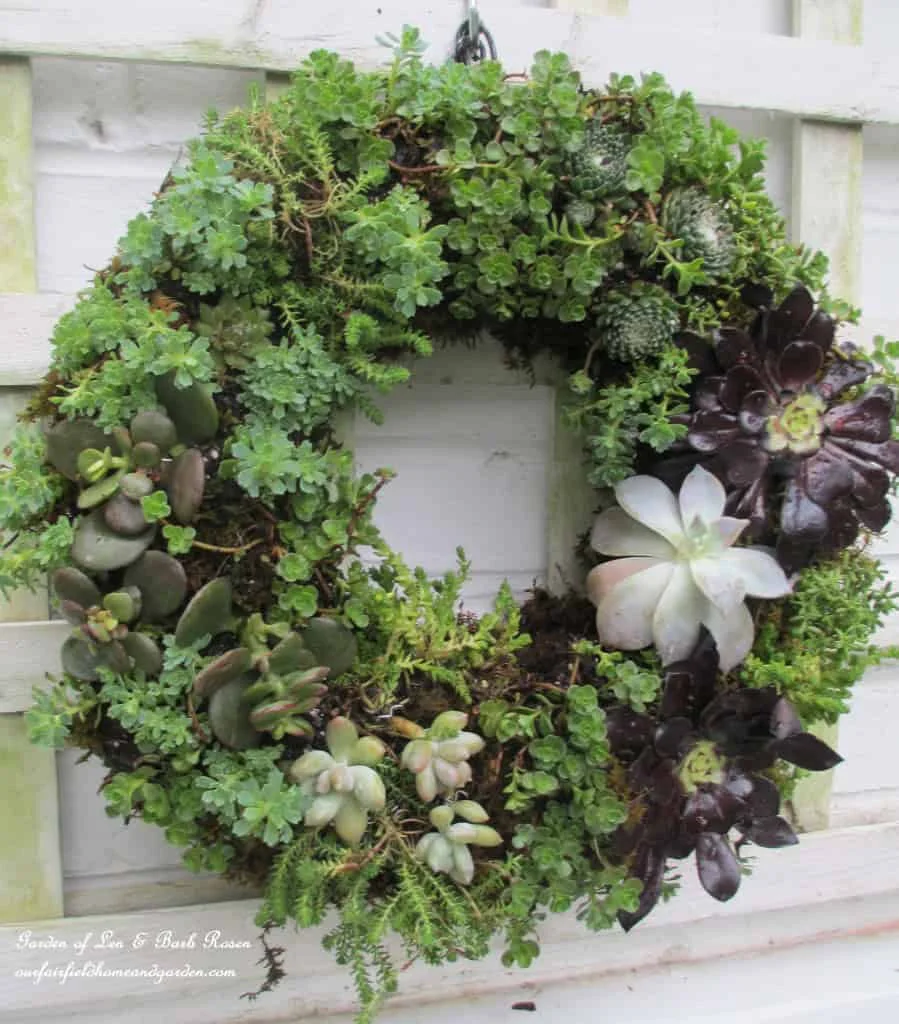 4. DIY guirnalda de suculentas