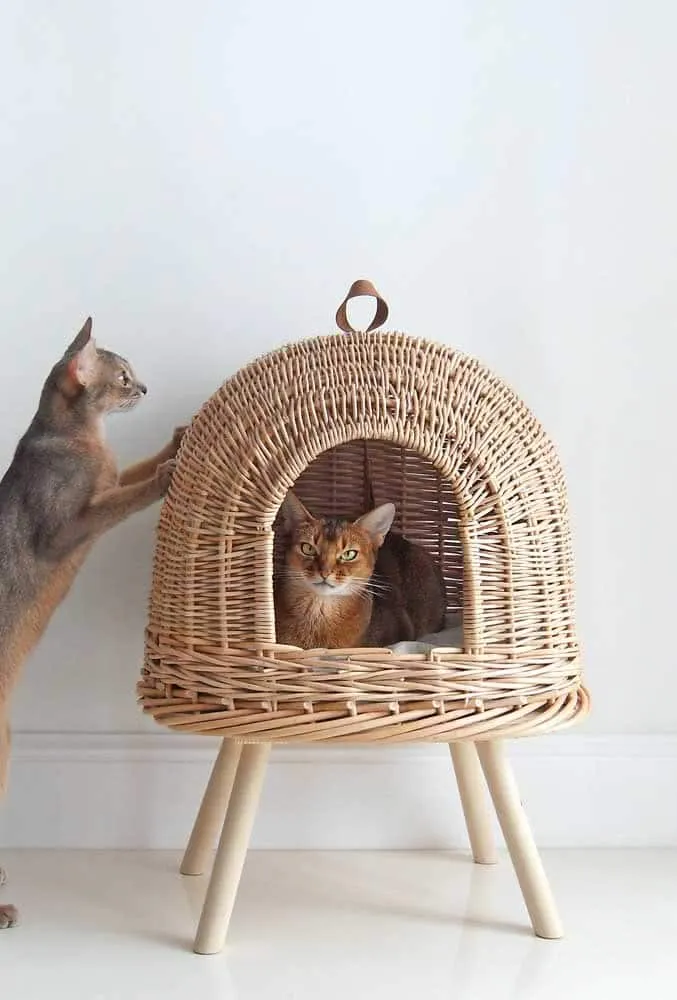 The Cutest Cat Houses That Will Inspire You