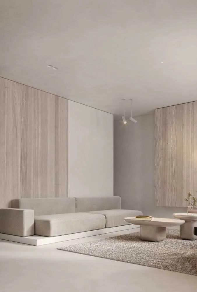 室内极简主义的特点与建议