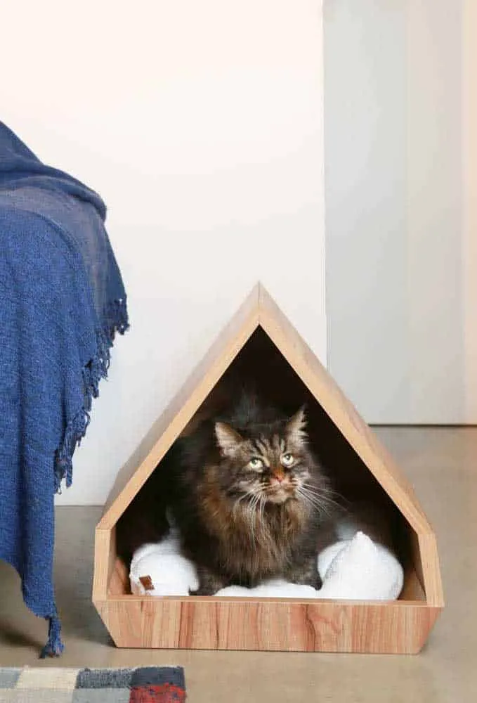 The Cutest Cat Houses That Will Inspire You