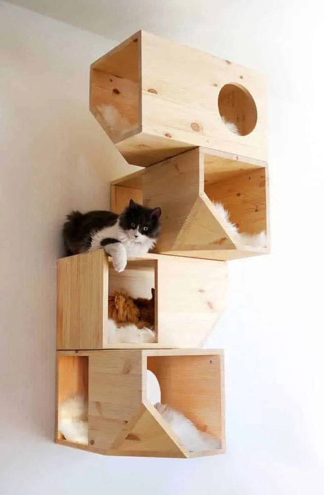 The Cutest Cat Houses That Will Inspire You