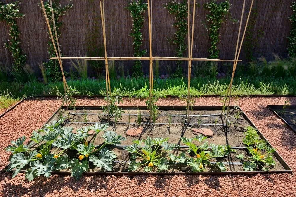 Keys to Garden Design According to Your Personality