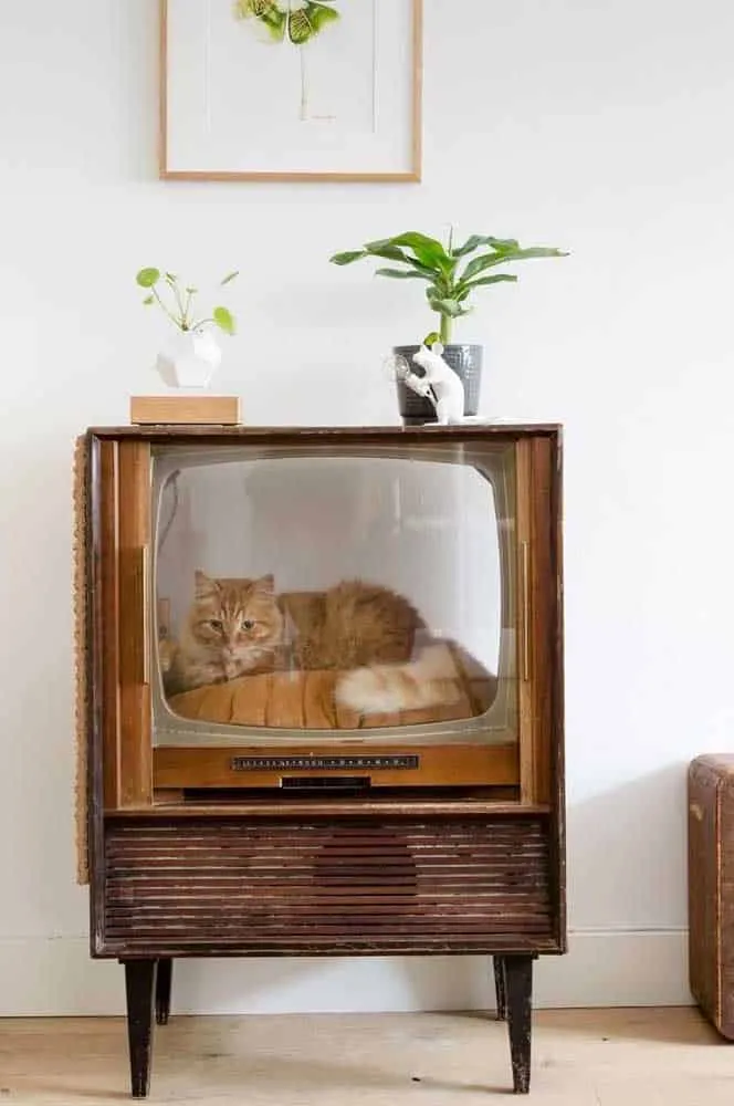 The Cutest Cat Houses That Will Inspire You