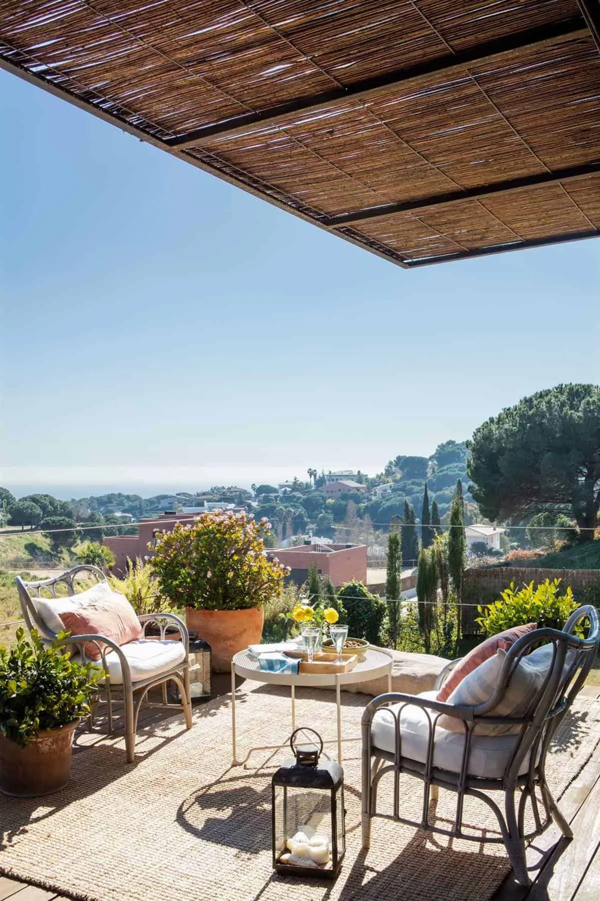 IF YOU ARE LOOKING FOR SHADE…