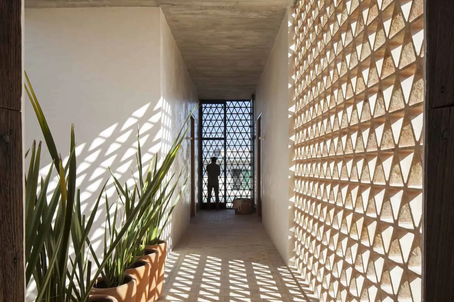 OBRA BLANCA设计的伊瓜纳之家,位于墨西哥阿尔瓦拉多 OBRA BLANCA设计的伊瓜纳之家,位于墨西哥阿尔瓦拉多