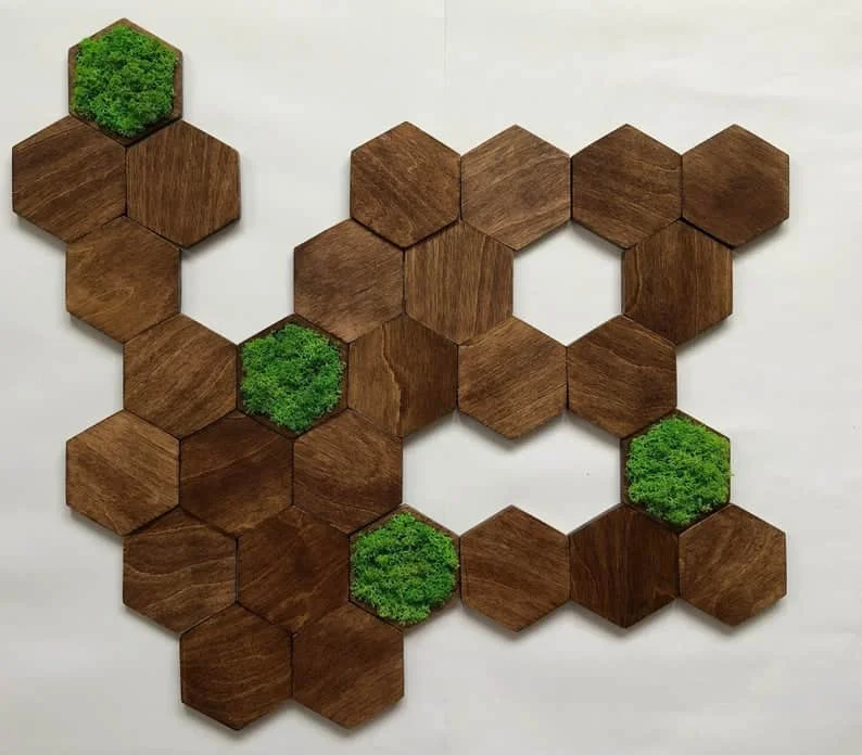 3. 以苔藓为特色的马赛克