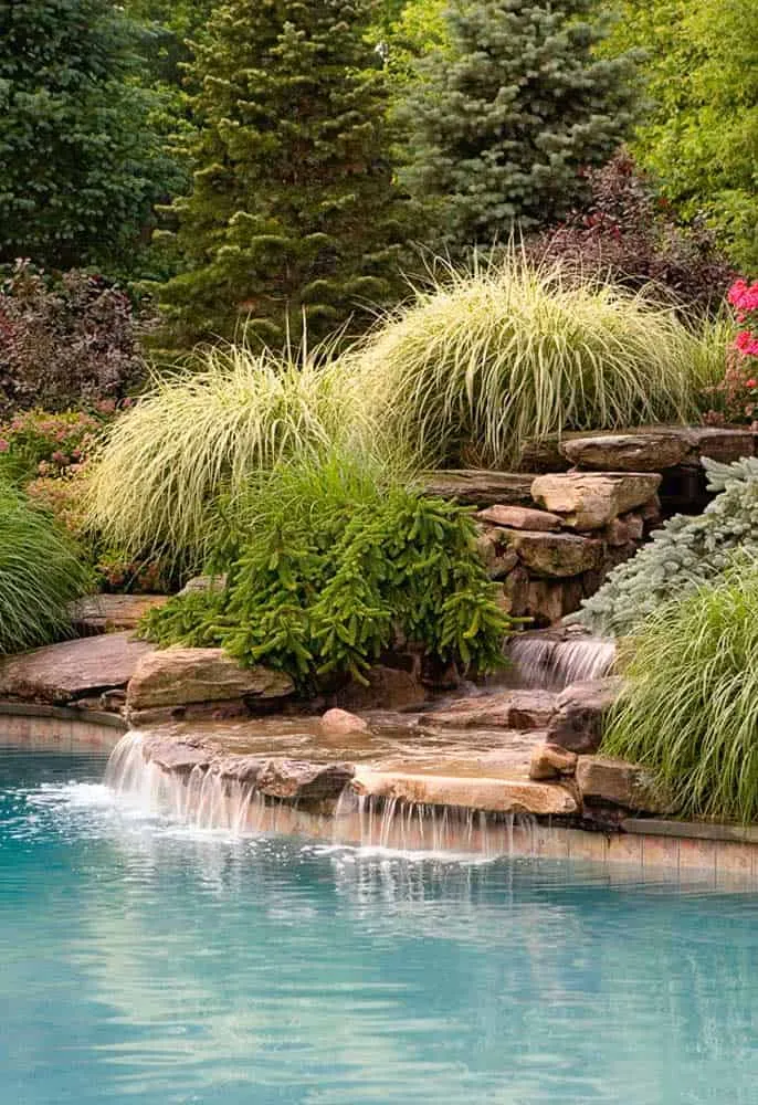 Reasons to Have a Natural Pool in Your Garden