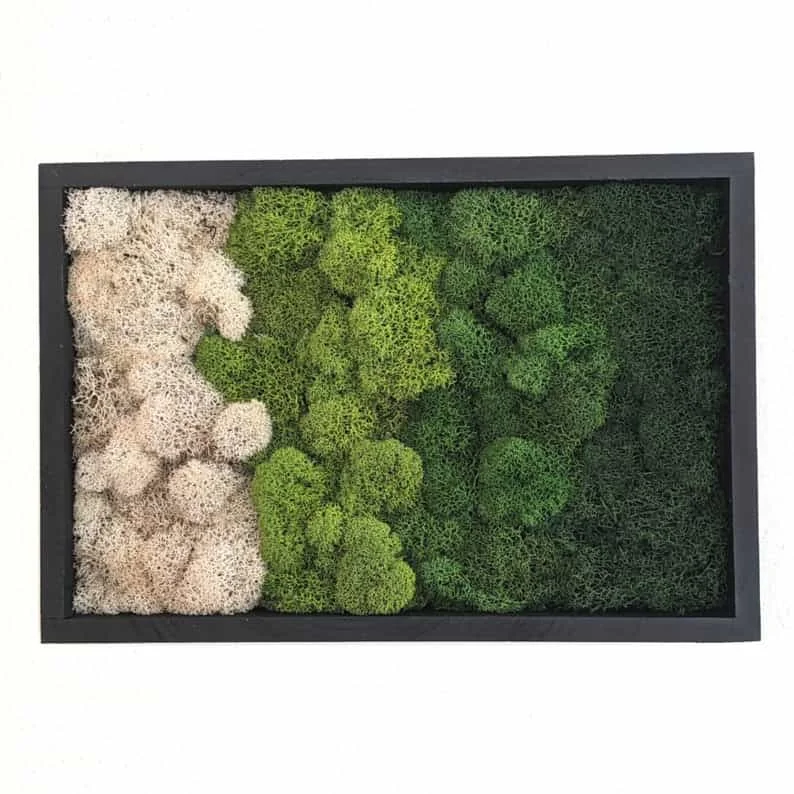 7. 渐变苔藓装饰