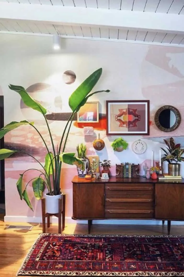 绿色植物与复古家具