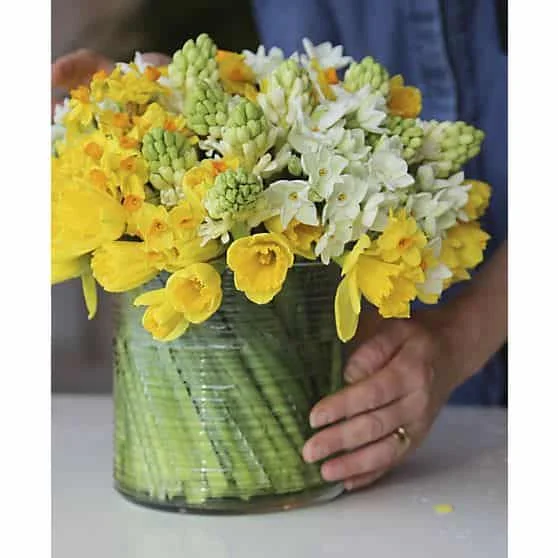 9. Crate & Barrel Vase Clone