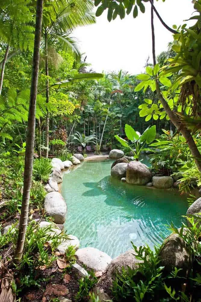 Reasons to Have a Natural Pool in Your Garden