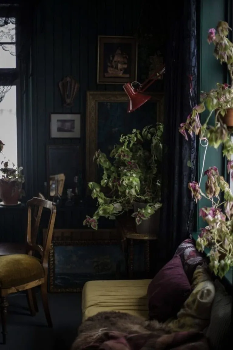 绿色植物与复古家具