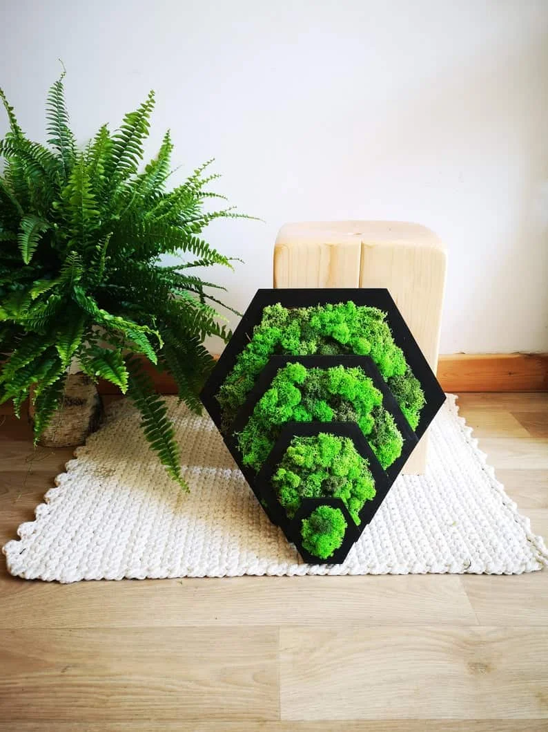 18. 六边形苔藓画框