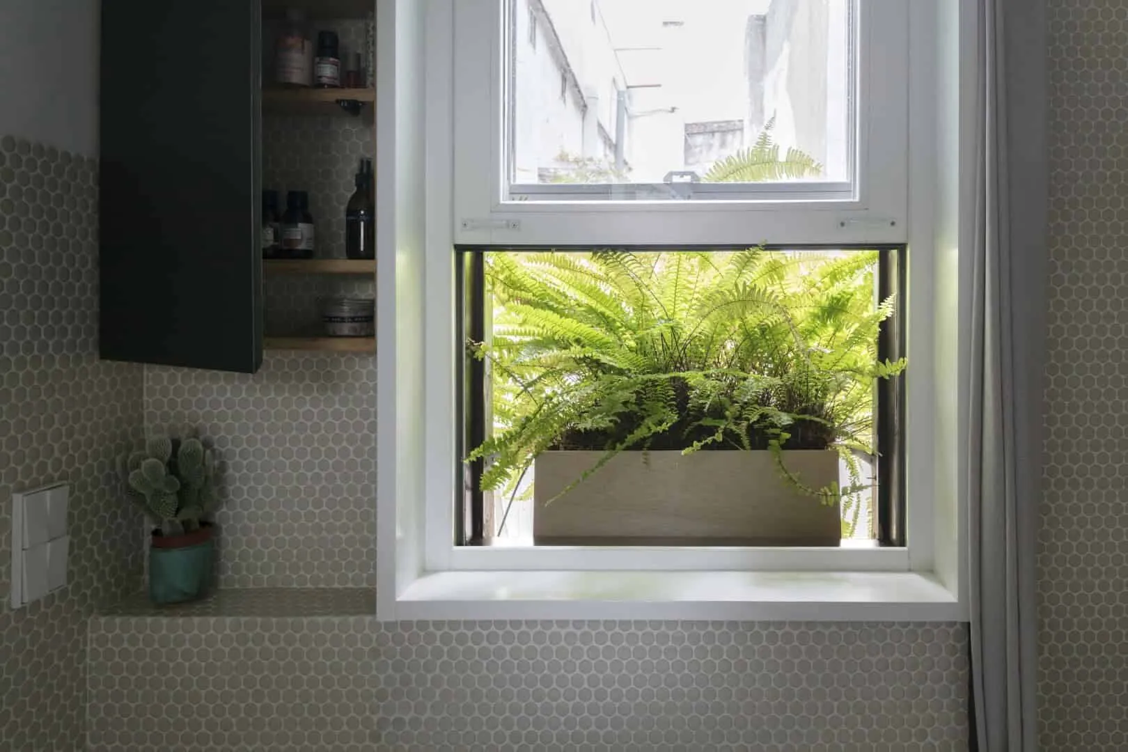 巴塞罗那El Fil Verd公寓a+e项目，西班牙