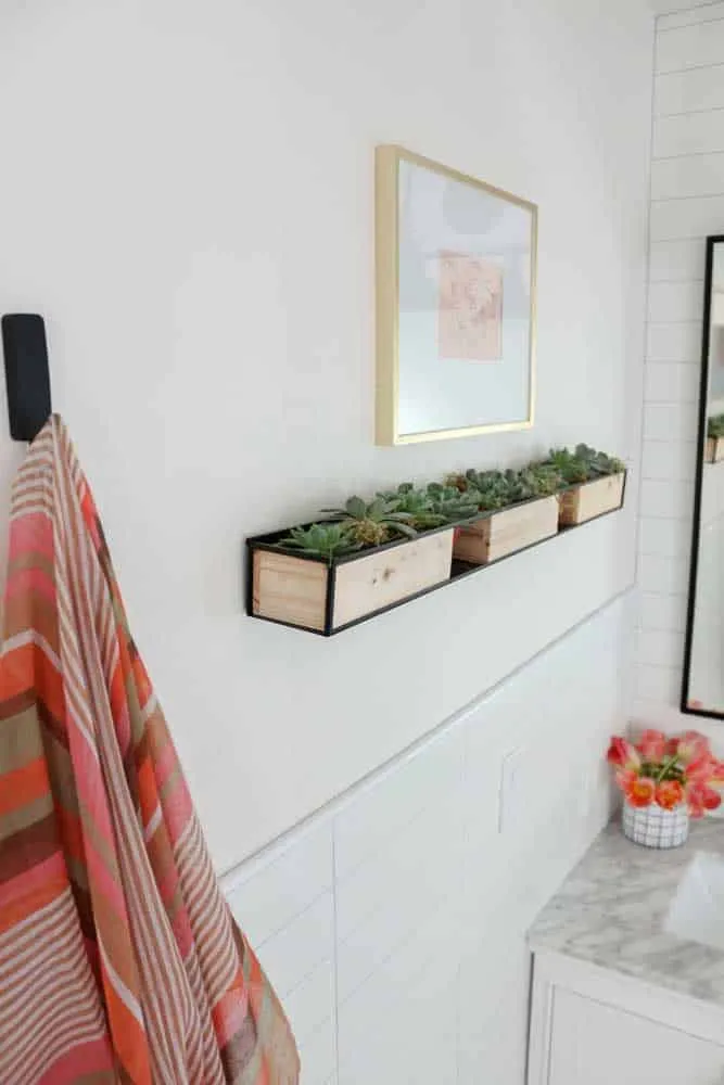 如何选择理想的多肉植物容器