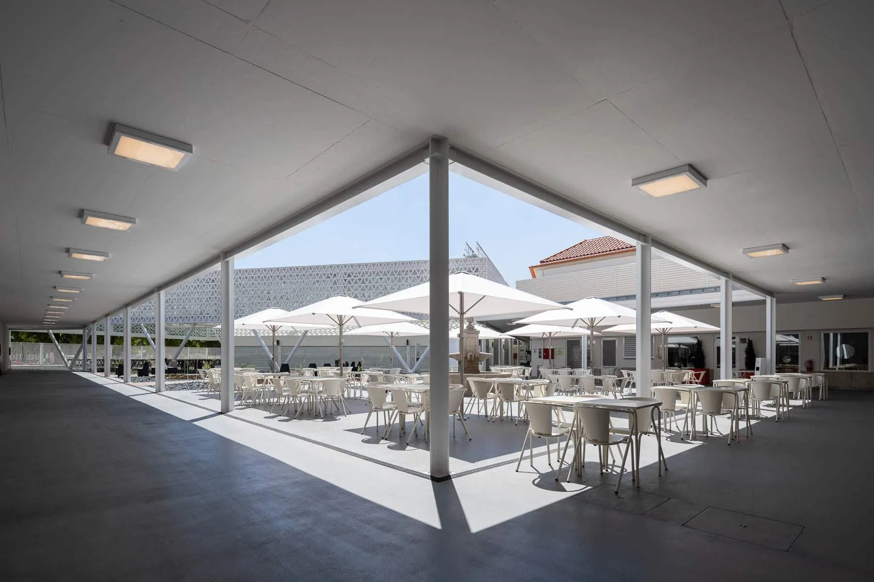 Una sorprendente escultura que cubre el mercado en el norte de Portugal Una sorprendente escultura que cubre el mercado en el norte de Portugal