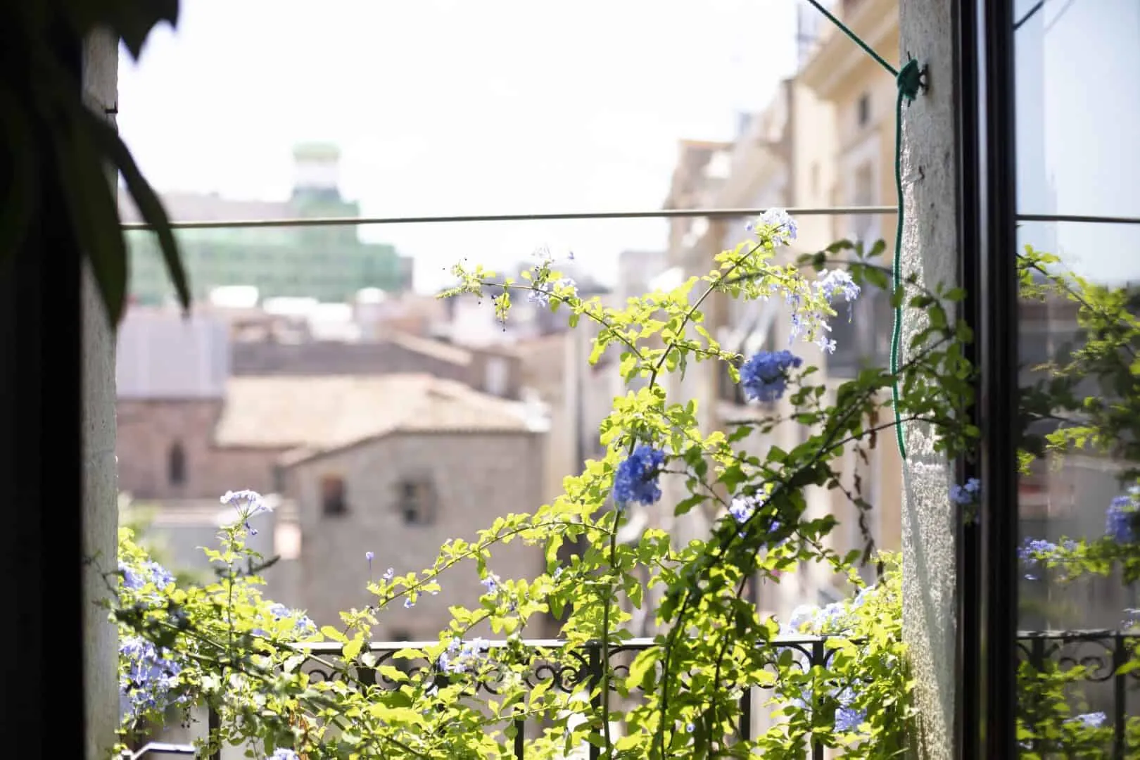 巴塞罗那El Fil Verd公寓a+e项目，西班牙