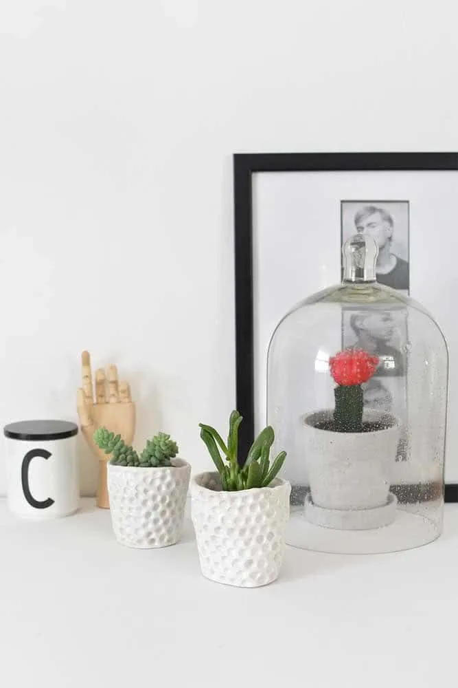 如何选择理想的多肉植物容器