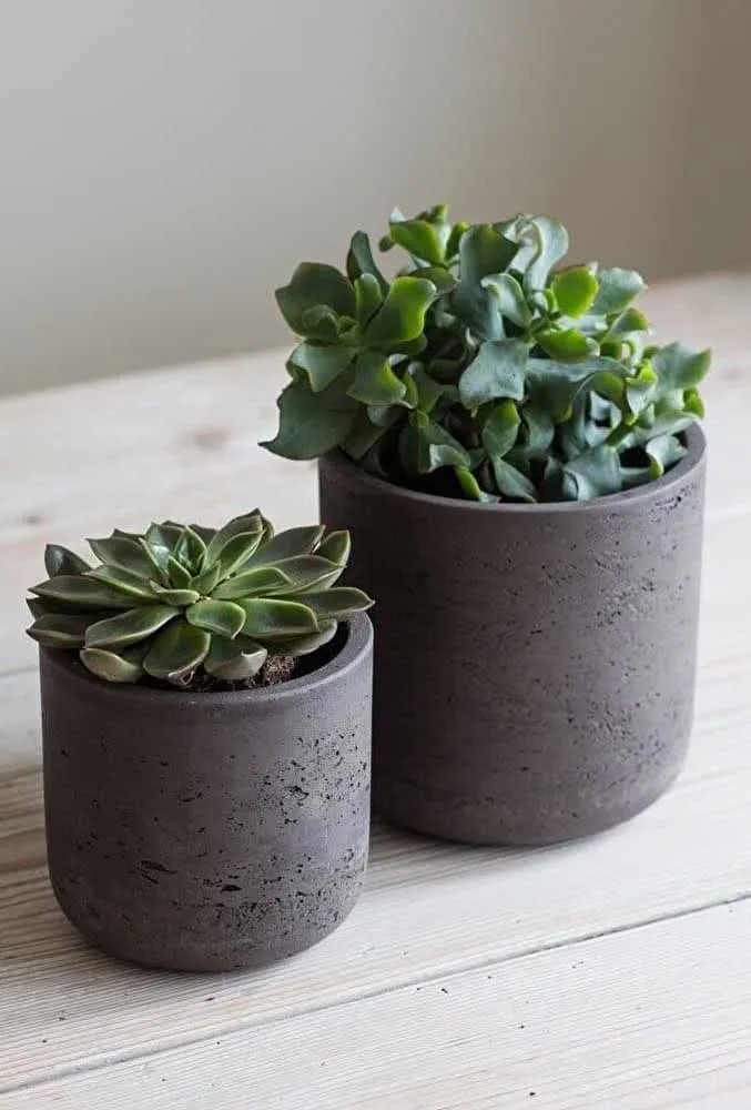 如何选择理想的多肉植物容器