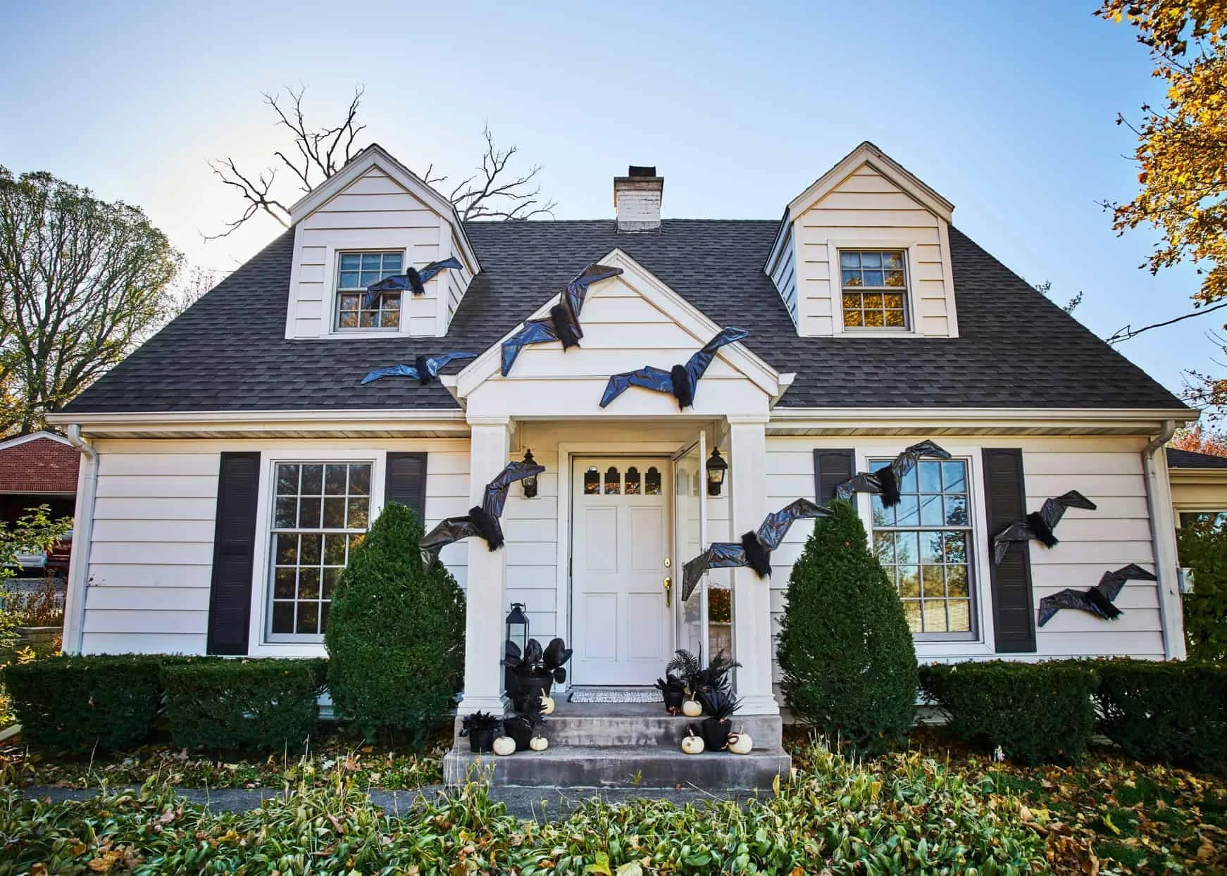 3. Зробити величезні летучі миші на Хеллоуїн