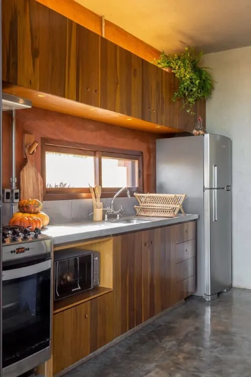 N2B建筑事务所的帕因尔农场：巴西农业林业的现代视角