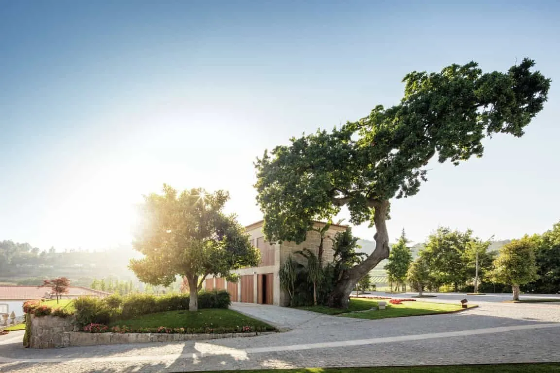 Древній палац Ігрея Велья, проект Visioarq Arquitectos у Вермоімі, Португалія Древній палац Ігрея Велья, проект Visioarq Arquitectos у Вермоімі, Португалія