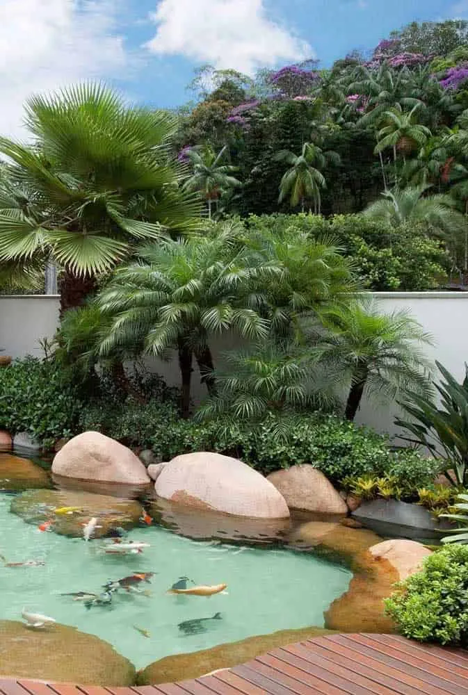 Tips for Creating the Perfect Garden Pond