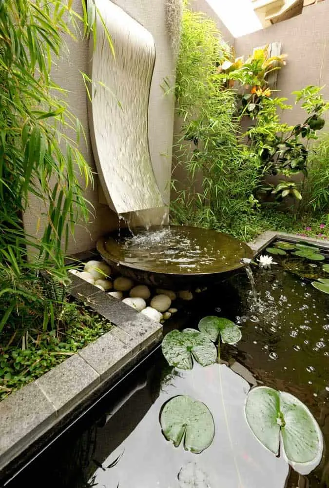 Tips for Creating the Perfect Garden Pond