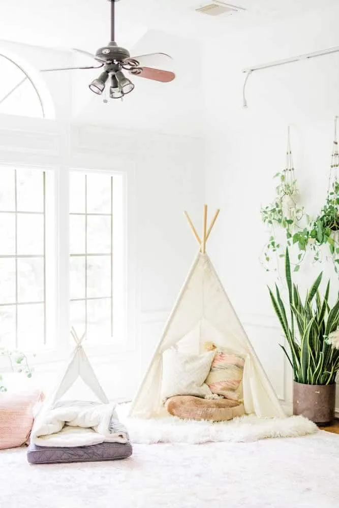 如何为狗狗选择理想的床