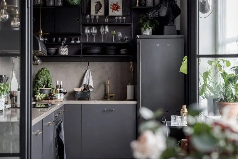 Scandinavian Kitchen with Black Furniture and Household Appliances