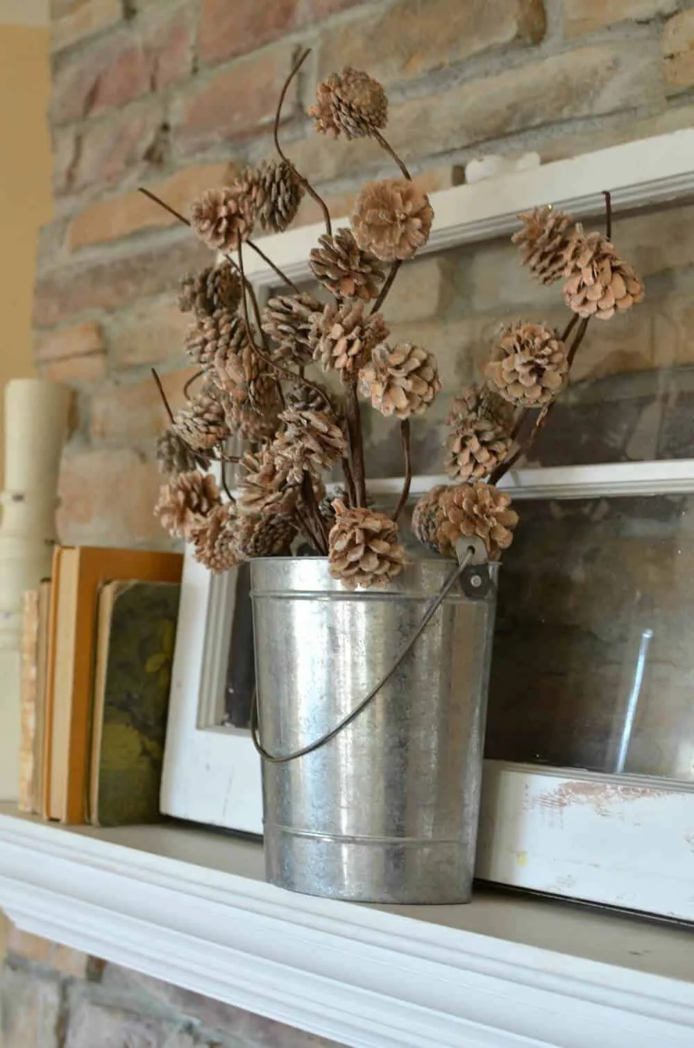 6. Exhibición de piñas