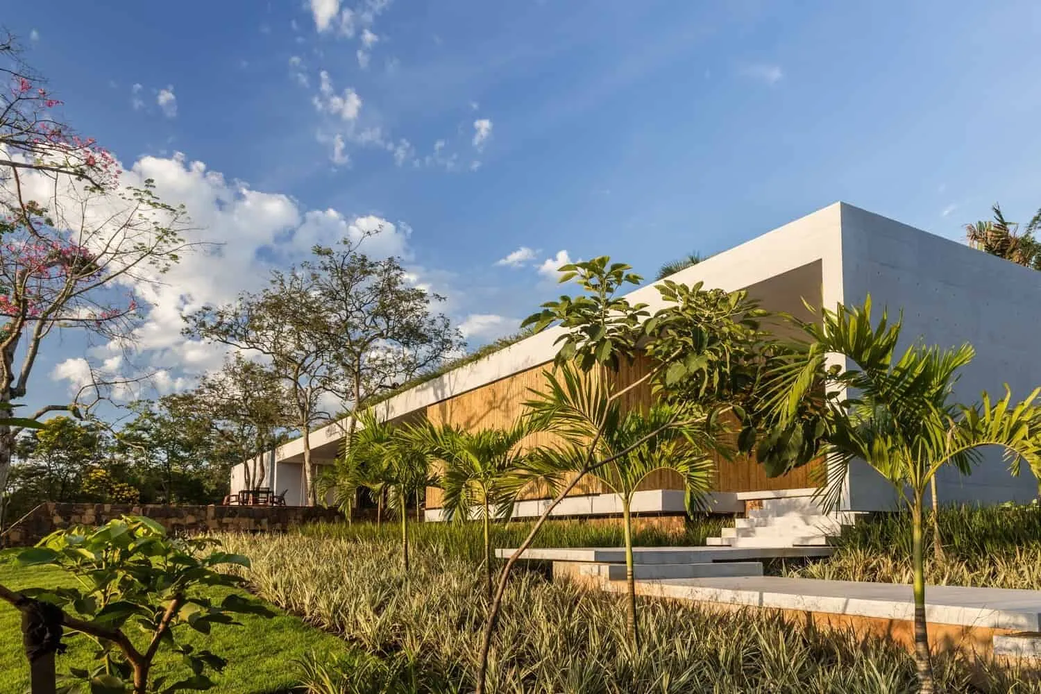 巴西克里西乌马的01号住宅，由ES Arquitetura设计