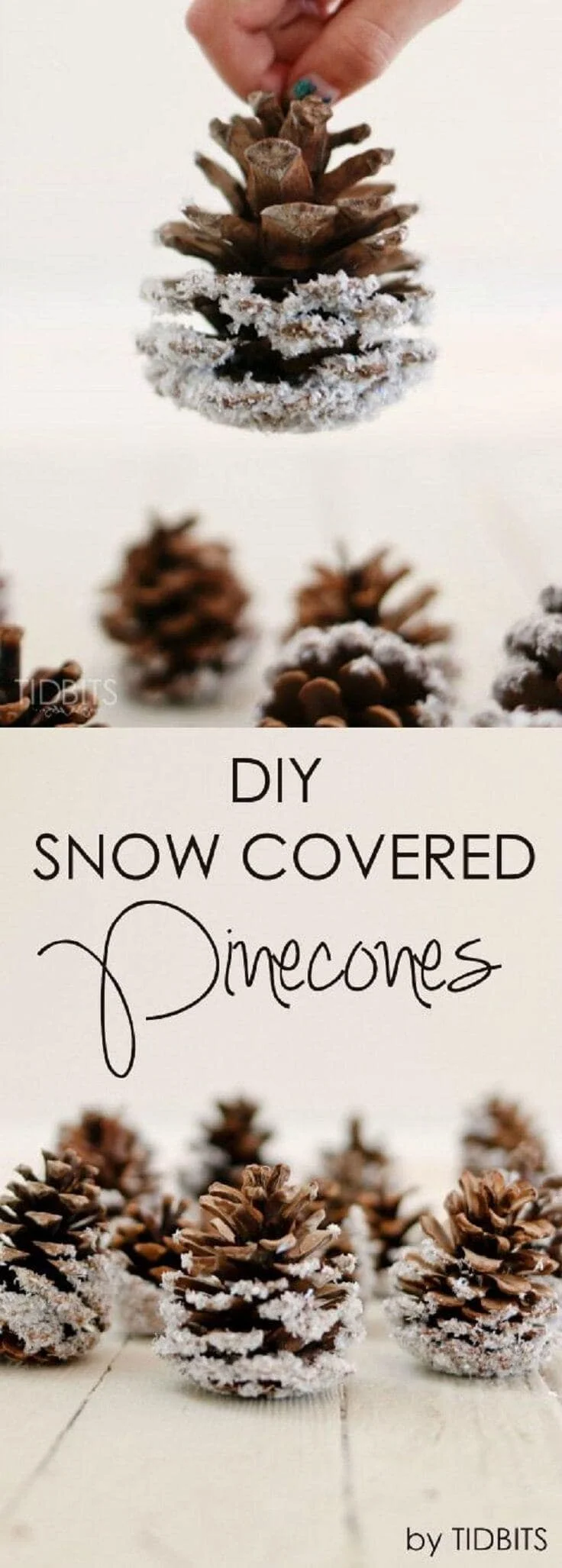 14. DIY SNOW COVERED PINECONES
