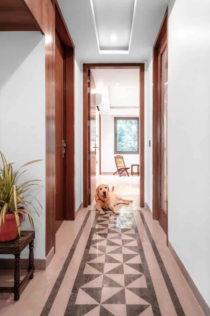 UnBox Design设计的远离网络住宅,印度德里 UnBox Design设计的远离网络住宅,印度德里