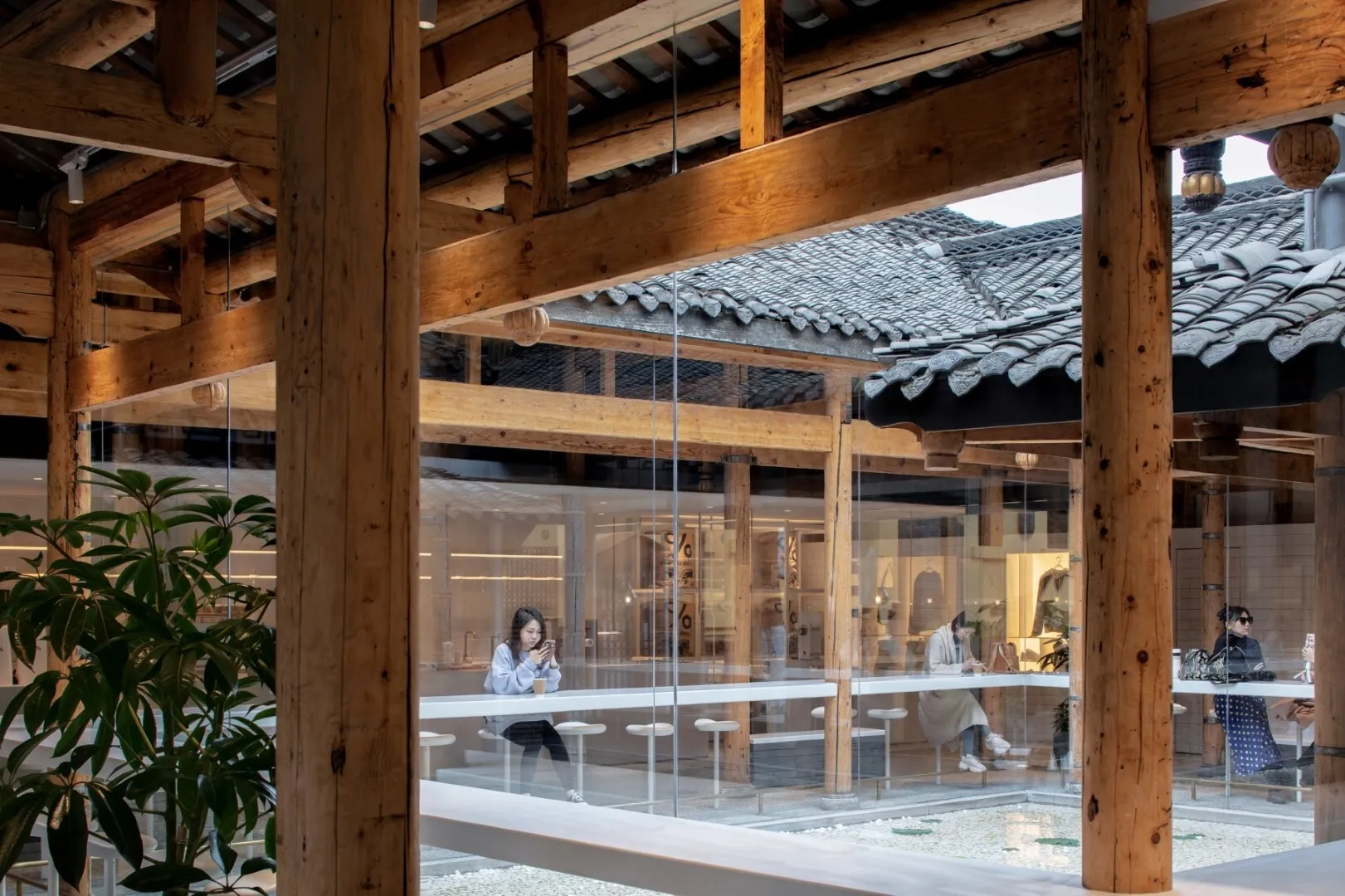Arabica Kuanzhai Alley by B.L.U.E. Architecture Studio: A Contemporary Café in Chengdu’s Historic Courtyard